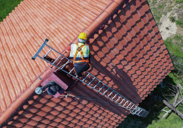 Roof Moss and Algae Removal in Xenia, OH